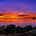 Will Maynard - Facebook