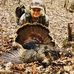 Wil Mcateer - Facebook