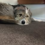 Will McBride - @will_28042010 - Instagram