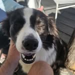 Will McCartney - @willmccartney00 - Instagram