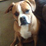 William Mccarty - @will.mccarty330 - Instagram