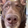 Will_McClanahan - @willmcclanahan34 - TikTok