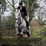 William McCrory - @williammccrory63 - Instagram
