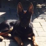 WillMcCue - @willmccue_ - Instagram