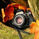 Will McDonnell - @photography_kid_2005 - Instagram