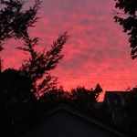 Will McElroy - @willmcel - Instagram