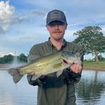 Will McFarland - @mcfarland_will - Instagram