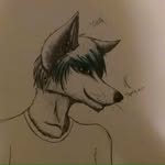 Will McGee - @roxythefox97 - Instagram