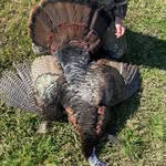 will mcgee - @will_mcgee16 - Instagram