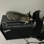 Will Mcgill - @wjmcgill - Instagram