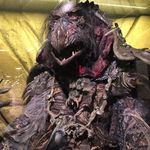 Will McGinnis - @mcginnis_will - Instagram