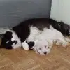 Will McGinnis - @will.mcginnis - TikTok