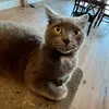 willow - @willowmcgrew - TikTok