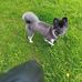 William McKenna - Facebook