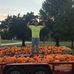 Will McKinney - Facebook