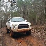 Will McLeod - @starvinmrvn - Instagram