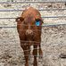 Will McKain - Facebook