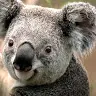 Will Mead - @willmead0 - TikTok