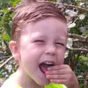 Will M - @willmeans9 - TikTok