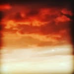 will meier - @willmeier - Instagram