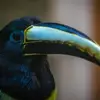 willmelvin875 - @willmelvin875 - TikTok