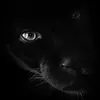 William Messick220 - @pantherbadcat - TikTok