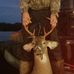 Will Meyers - Facebook