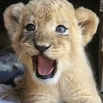 Will Meza - @will.meza.5686 - Instagram