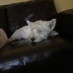 Will Michael - @willmichael999 - Instagram