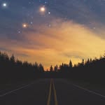 Will~Michaels - @will_michaels5 - Instagram