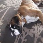 Will Milburn - @_will_milburn__ - Instagram