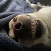 will.millard26 - @will.millard26 - TikTok