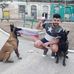 Willy Miranda - Facebook