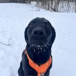 Will Morgan - Facebook