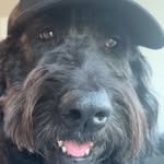 Will Morgan - @willmorgan009 - Instagram