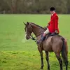 Will Morton - @willmorton97 - TikTok
