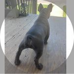 Will Morton II - @beeefy - Instagram