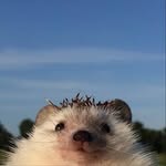 Will Mullins - @will_mullins32 - Instagram