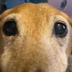 Will Murdock - @w_dock63 - Instagram