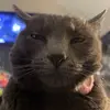 willmurdock - @rizcheck3 - TikTok