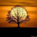 Will Nguyen - Facebook