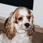 willow overby - @willowoverby - Instagram