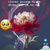 William Padilla - Facebook