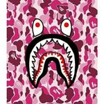 will peacock - @peacock.will - Instagram