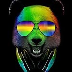 Will Peralta - @willliam.peralta - Instagram