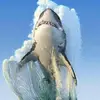 willperalta250 - @willperalta250 - TikTok