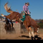 Will Perdue - @willthathrill110 - Instagram