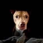 Will Perdue - @will_perdue_1101 - Instagram