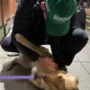 willperry - @will.perryy - TikTok