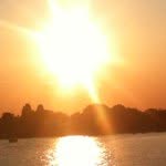 Will_pettitt - @will_pettitt - Instagram